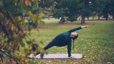 Therapeutic Forest Bathing for Stress Reduction