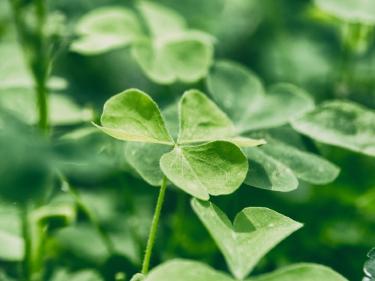 Four Day Workweek Launches in Tokyo to Combat Overwork Culture