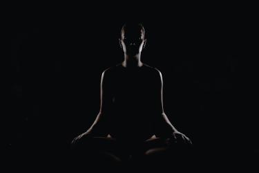 Rapid Biological Changes in Meditation and Mind-Body Retreats